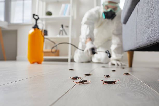 Commercial Kitchen Cockroach Control in Lansing